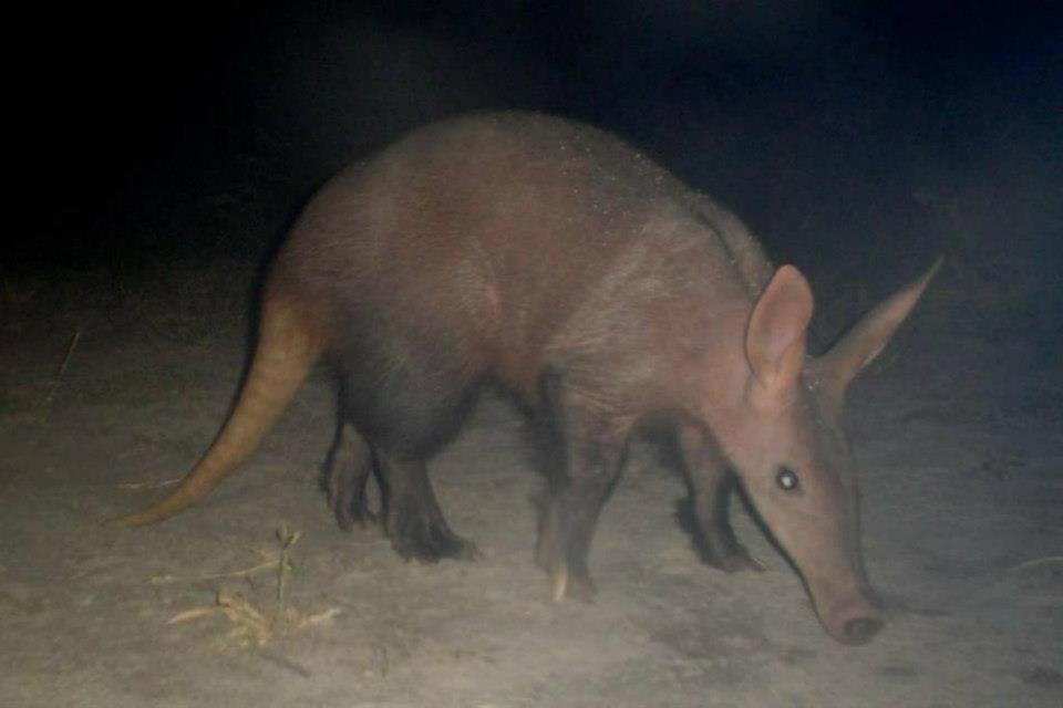 Thakadu Bush Camp Villa Ghanzi Kültér fotó