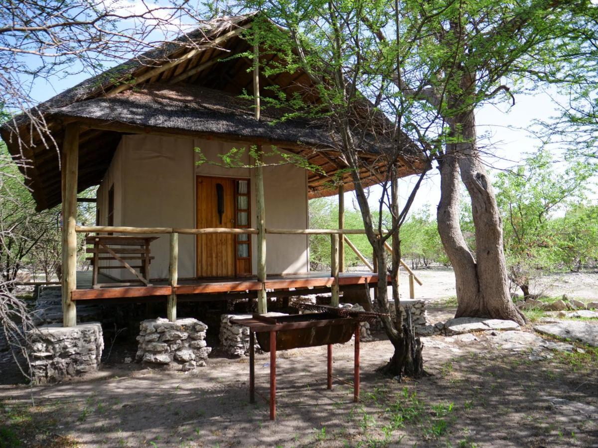 Thakadu Bush Camp Villa Ghanzi Kültér fotó