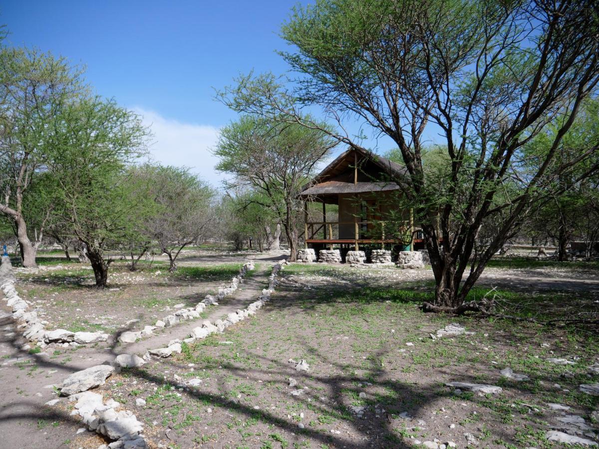 Thakadu Bush Camp Villa Ghanzi Kültér fotó